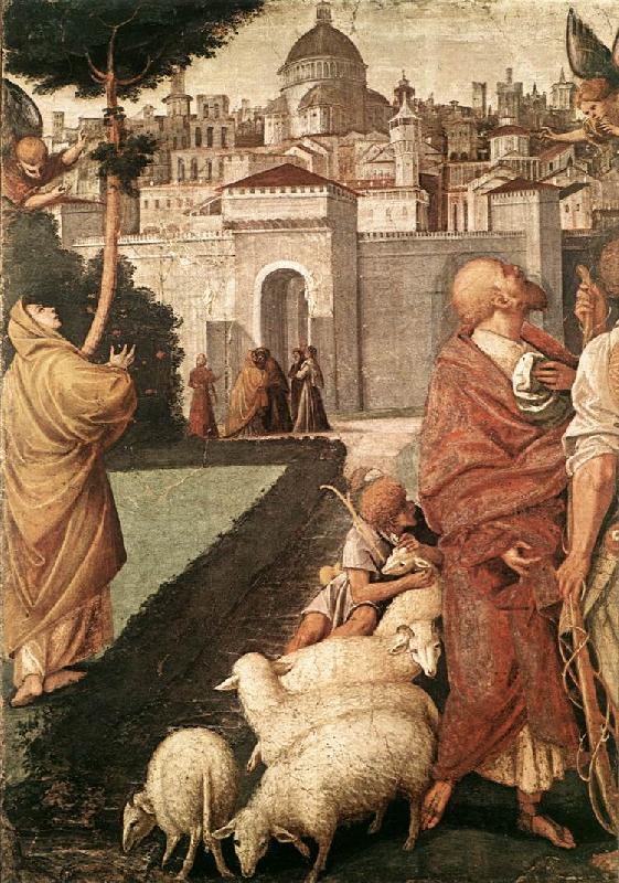 FERRARI, Gaudenzio The Annunciation to Joachim and Anna dfg oil painting image